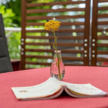 Im Garten - Haus Daniela Apartament *